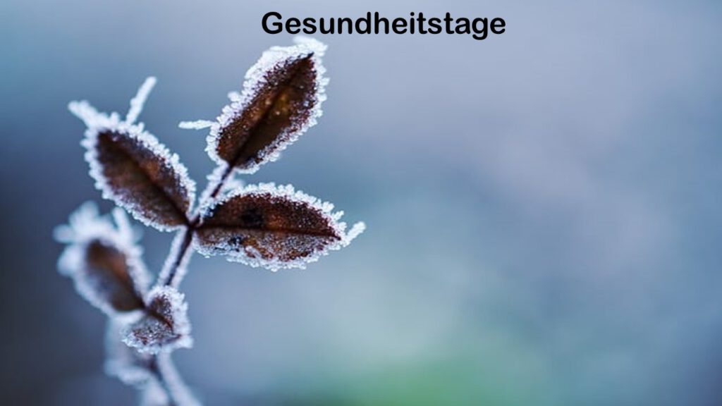 Winter 2026 in meiner Gesundheitspraxis